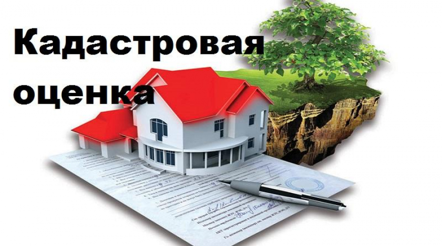 Извещение о размещении проекта отчета об итогах государственной кадастровой оценки на территории Республики Мордовия по состоянию на 1 января 2023 года.